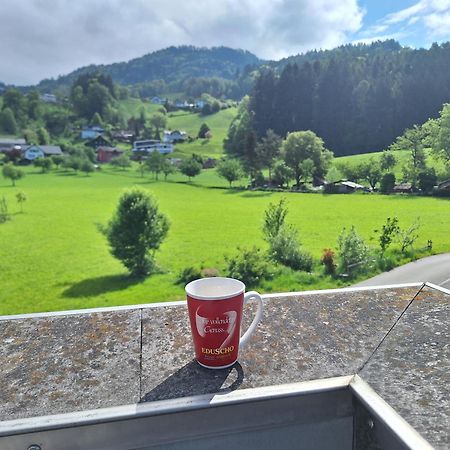 Wohnung Rheintal Im Alpenvorland Batschuns Экстерьер фото