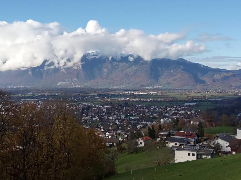 Wohnung Rheintal Im Alpenvorland Batschuns Экстерьер фото