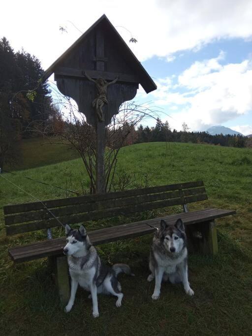 Wohnung Rheintal Im Alpenvorland Batschuns Экстерьер фото