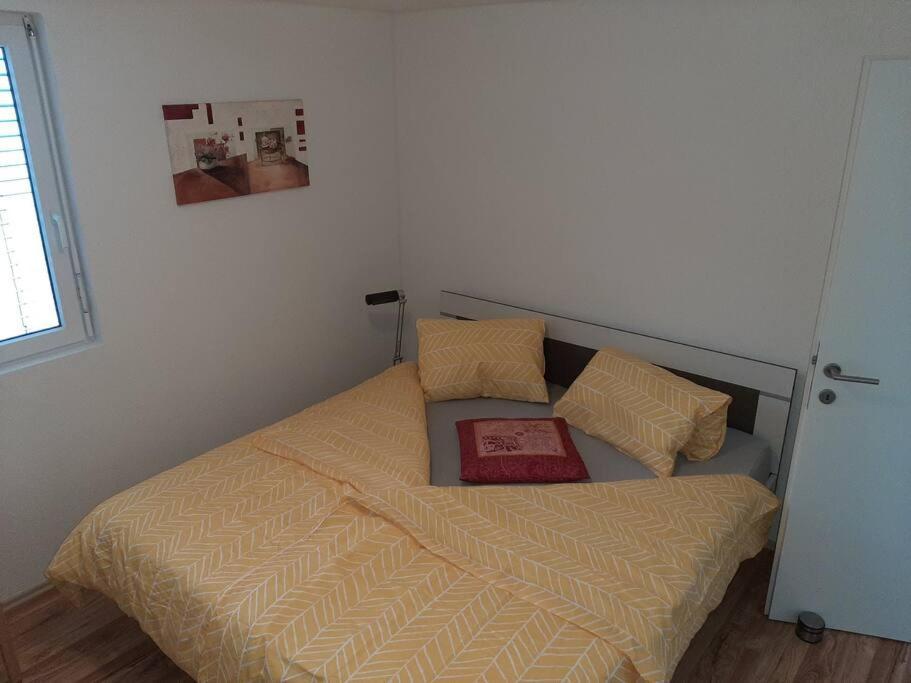 Wohnung Rheintal Im Alpenvorland Batschuns Экстерьер фото