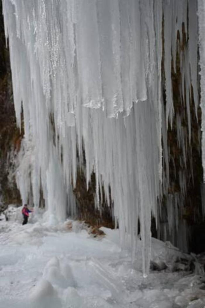 Wohnung Rheintal Im Alpenvorland Batschuns Экстерьер фото