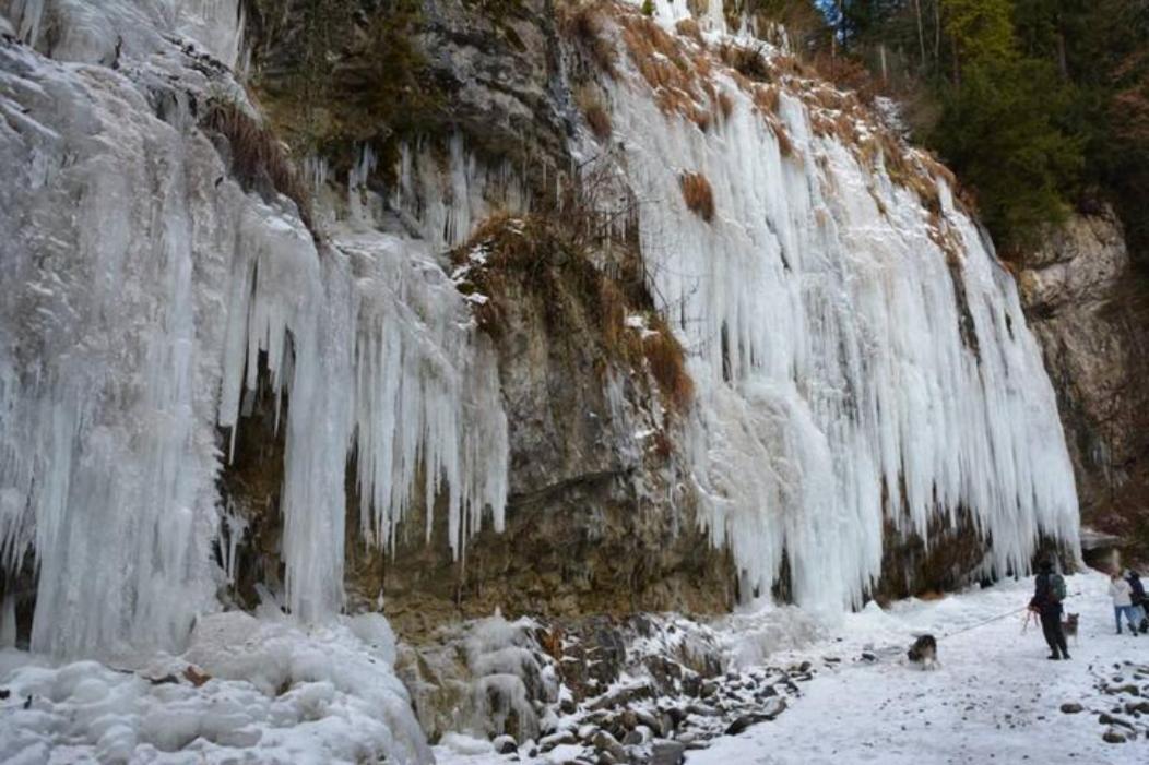 Wohnung Rheintal Im Alpenvorland Batschuns Экстерьер фото