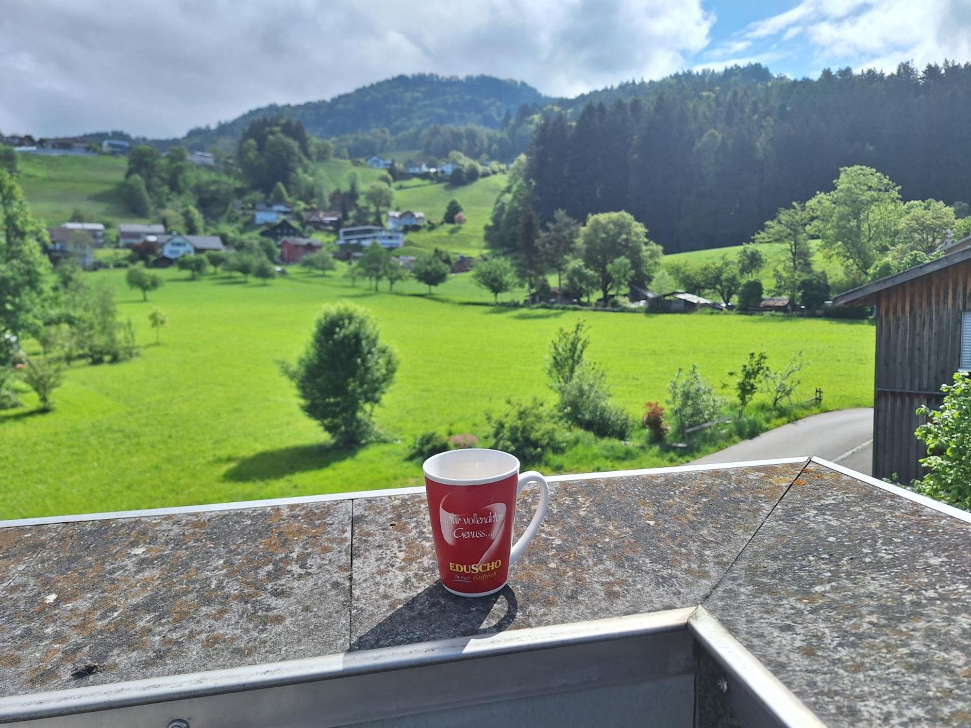 Wohnung Rheintal Im Alpenvorland Batschuns Экстерьер фото