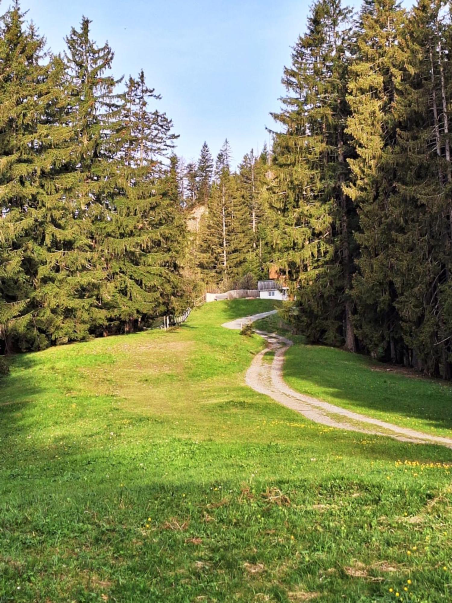 Wohnung Rheintal Im Alpenvorland Batschuns Экстерьер фото