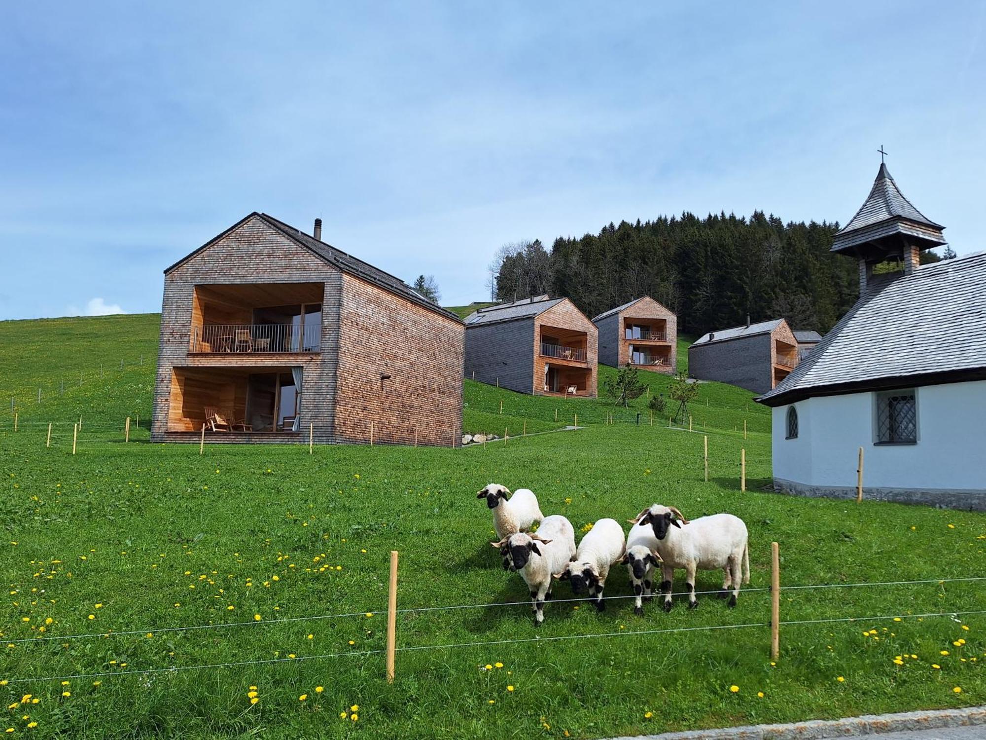 Wohnung Rheintal Im Alpenvorland Batschuns Экстерьер фото