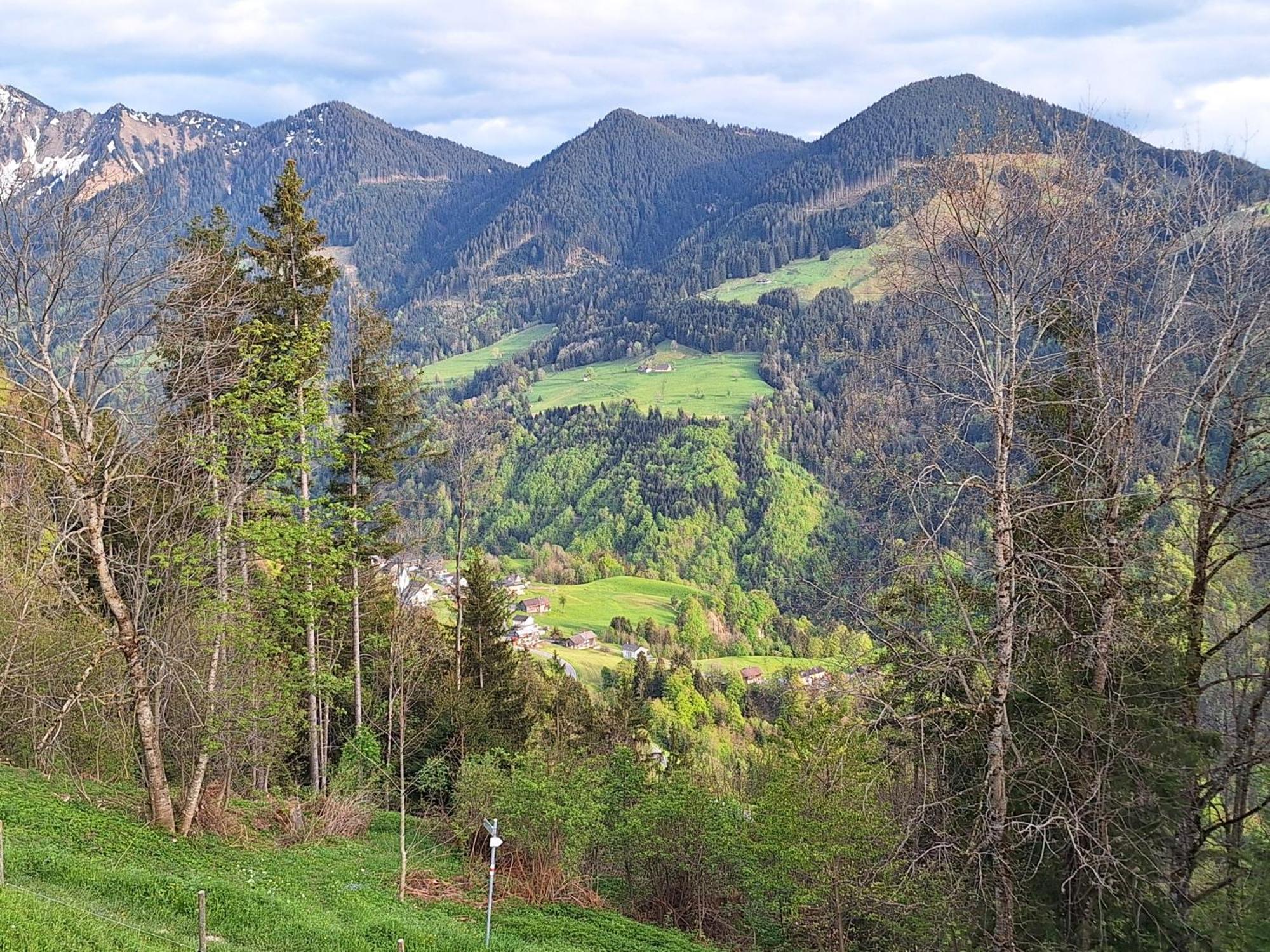 Wohnung Rheintal Im Alpenvorland Batschuns Экстерьер фото