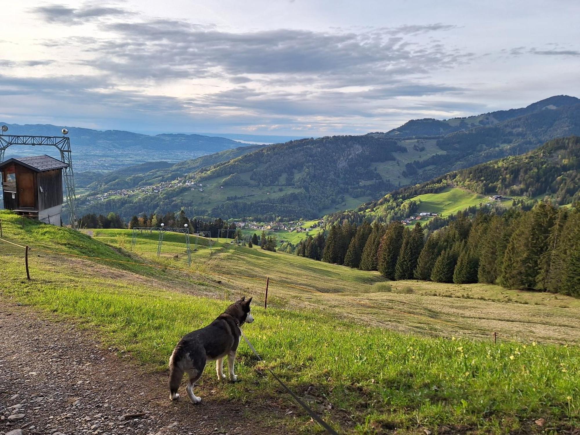 Wohnung Rheintal Im Alpenvorland Batschuns Экстерьер фото