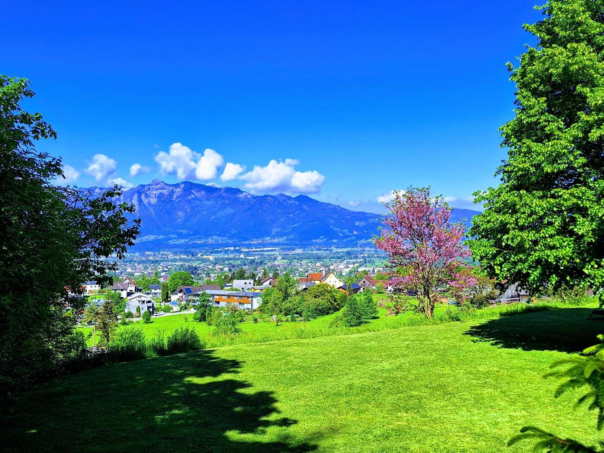 Wohnung Rheintal Im Alpenvorland Batschuns Экстерьер фото